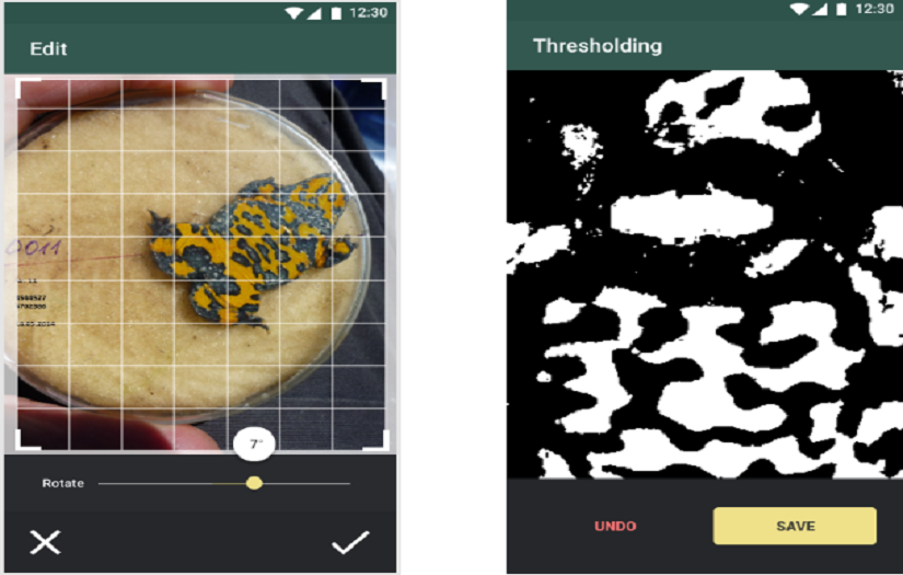 An application to identify amphibians screenshot 1